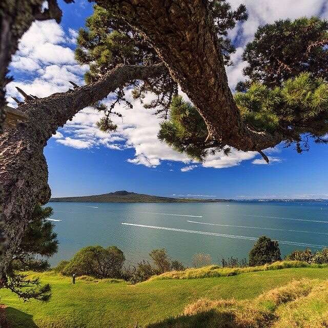 View out to sea at Rangitoto, New Zealand.